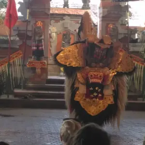 Explore Explore Bali - Nusa Penida in 12 Days for 12 days with Diwira Wisata Indonesia and discover unforgettable experiences - Photo 2