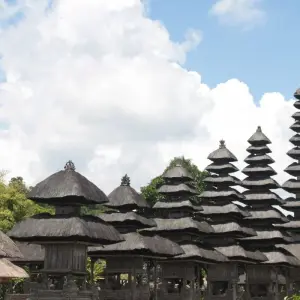 Explore 8 Days  Discover The Uniqueness of Balinese Culture and Its Beauty. for 8 days with Diwira Wisata Indonesia and discover unforgettable experiences - Photo 4