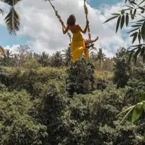 Explore 11 Days Explore Bali - Nusa Penida include Spa Treatment for 11 days with Diwira Wisata Indonesia and discover unforgettable experiences - Photo 4