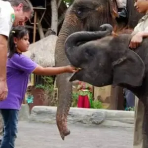 Explore 11 Days Explore Bali - Nusa Penida include Spa Treatment for 11 days with Diwira Wisata Indonesia and discover unforgettable experiences - Photo 10