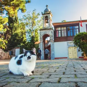 Explore Splendor of Turkey: Istanbul, The Turquoise Coast, and Cappadocia in 12 Days for 12 days with Dorak Tours and discover unforgettable experiences - Photo 3