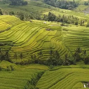 Explore Bali 8 Days : Explore The Beauty of Bali and Surround for 8 days with Diwira Wisata Indonesia and discover unforgettable experiences - Photo 6