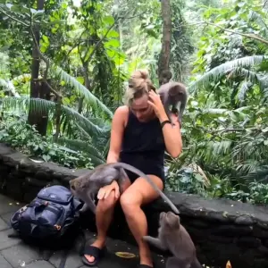 Explore Bali 10 Days : Hidden Hills, Waterfalls, Temple and Rice Terrace Tour for 10 days with Diwira Wisata Indonesia and discover unforgettable experiences - Photo 9