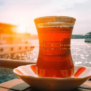 Explore The Wonders of Turkey: Classical Turkey 13 Day Tour for 13 days with Dorak Tours and discover unforgettable experiences - Photo 9