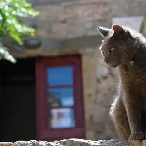 Explore The Splendour of the Peloponnese for 12 days with Dot Travel and discover unforgettable experiences - Photo 7