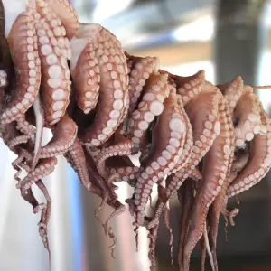 Explore Explore Crete & Local Experience Stay for 4 days with Dot Travel and discover unforgettable experiences - Photo 4