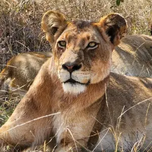 Explore 11 DAY - NAMIBIA OVERLAND TOUR / ACCOMMODATED for 11 days with Drifters Adventure Tours and discover unforgettable experiences - Photo 5