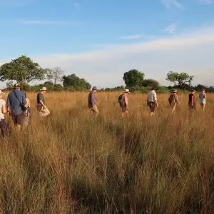 Explore 11 DAY - NAMIBIA OVERLAND TOUR / CAMPING for 11 days with Drifters Adventure Tours and discover unforgettable experiences - Photo 4