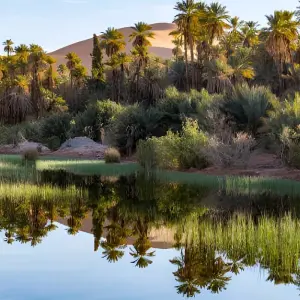 Explore M'Zab Valley & Oases Tour for 7 days with EL-GOLEA  Tourism  Travel and discover unforgettable experiences - Photo 2