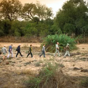 Explore 24 DAY - SOUTHERN AFRICA OVERLAND TOUR / ACCOMMODATED (Namibia, Botswana, Zimbabwe & South Africa) for 24 days with Drifters Adventure Tours and discover unforgettable experiences - Photo 3