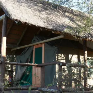 Explore 5 DAY - KRUGER SAFARI OVERLAND TOUR / ACCOMMODATED for 5 days with Drifters Adventure Tours and discover unforgettable experiences - Photo 4