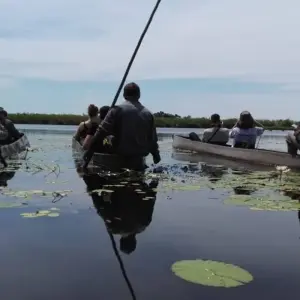 Explore 16 DAY - BOTSWANA OVERLAND TOUR / ACCOMMODATED for 16 days with Drifters Adventure Tours and discover unforgettable experiences - Photo 6