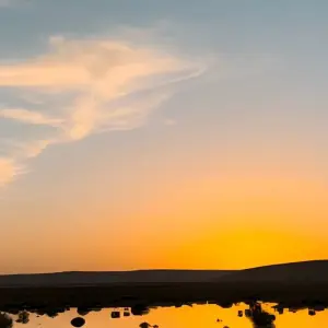 Explore Mature Saharan & Oases Tour for 20 days with EL-GOLEA  Tourism  Travel and discover unforgettable experiences - Photo 4