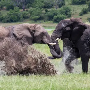 Explore 16 DAY - BOTSWANA OVERLAND TOUR / ACCOMMODATED for 16 days with Drifters Adventure Tours and discover unforgettable experiences - Photo 7