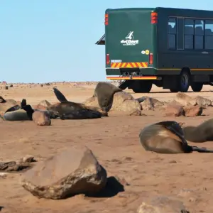 Explore 24 DAY - SOUTHERN AFRICA OVERLAND TOUR / CAMPING (Namibia, Botswana, Zimbabwe & South Africa) for 24 days with Drifters Adventure Tours and discover unforgettable experiences - Photo 5
