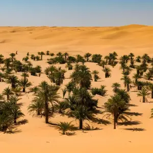 Explore M'Zab Valley & Oases Tour for 7 days with EL-GOLEA  Tourism  Travel and discover unforgettable experiences - Photo 5