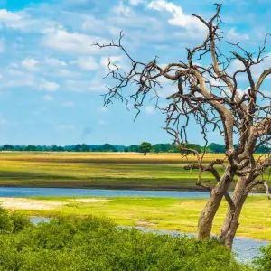 Explore 16 DAY - BOTSWANA OVERLAND TOUR / CAMPING for 16 days with Drifters Adventure Tours and discover unforgettable experiences - Photo 8