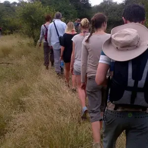 Explore 24 DAY - SOUTHERN AFRICA OVERLAND TOUR / ACCOMMODATED (Namibia, Botswana, Zimbabwe & South Africa) for 24 days with Drifters Adventure Tours and discover unforgettable experiences - Photo 7