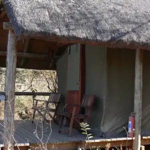 Explore 5 DAY - KRUGER SAFARI OVERLAND TOUR / ACCOMMODATED for 5 days with Drifters Adventure Tours and discover unforgettable experiences - Photo 10