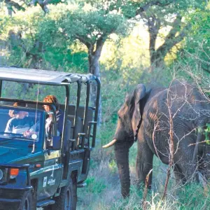 Explore 5 DAY - KRUGER SAFARI OVERLAND TOUR / ACCOMMODATED for 5 days with Drifters Adventure Tours and discover unforgettable experiences - Photo 11
