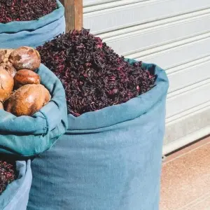 Explore Egypt Red-Sea (Hurghada) 3 Nights/ 4 Days for 3 days with ETL Travel and discover unforgettable experiences - Photo 6