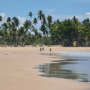 Explore Discovering Bahia for 10 days with ETours Brazil DMC and discover unforgettable experiences - Photo 3