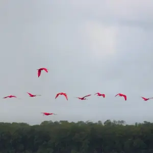 Explore Route of the Emotions for 9 days with ETours Brazil DMC and discover unforgettable experiences - Photo 4