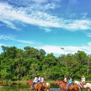 Explore Southern Pantanal & Bonito for 7 days with ETours Brazil DMC and discover unforgettable experiences - Photo 5