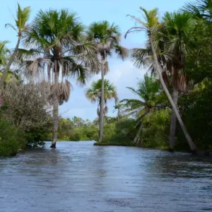 Explore Route of the Emotions for 9 days with ETours Brazil DMC and discover unforgettable experiences - Photo 8