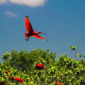 Explore Route of the Emotions for 9 days with ETours Brazil DMC and discover unforgettable experiences - Photo 10