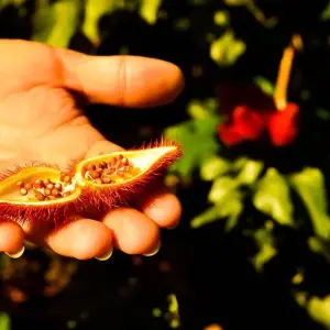 Explore Amazon at 360° for 7 days with ETours Brazil DMC and discover unforgettable experiences - Photo 8