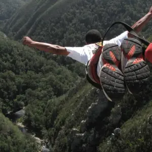 Explore 5-Day Group Garden Route & Addo Adventure Tour (one-way) for 5 days with Earthstompers Adventures and discover unforgettable experiences - Photo 3