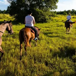 Explore Southern Pantanal & Bonito for 7 days with ETours Brazil DMC and discover unforgettable experiences - Photo 9