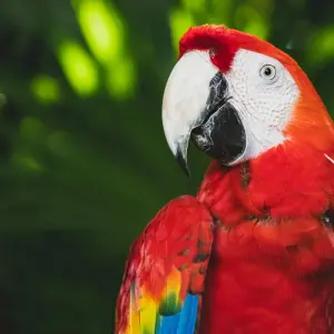 Explore Amazon at 360° for 7 days with ETours Brazil DMC and discover unforgettable experiences - Photo 9