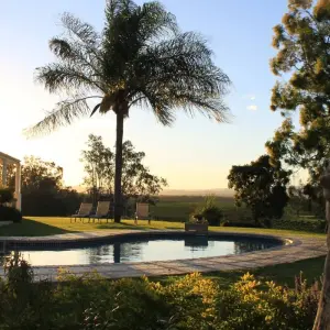 Explore 5-Day Group Garden Route & Addo Adventure Tour (one-way) for 5 days with Earthstompers Adventures and discover unforgettable experiences - Photo 4