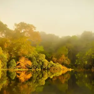 Explore Amazon at 360° for 7 days with ETours Brazil DMC and discover unforgettable experiences - Photo 10