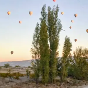 Explore MAGIC TURKEY for 11 days with EUROLATINO Tour Operators and discover unforgettable experiences - Photo 3
