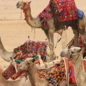 Explore NILE JUWELRIES BY TRAIN for 8 days with EUROLATINO Tour Operators and discover unforgettable experiences - Photo 3