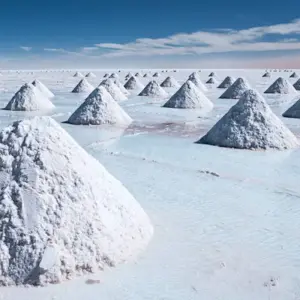 Explore THE BIG SOUTH AMERICAN ROUNDTRIP for 21 days with EUROLATINO Tour Operators and discover unforgettable experiences - Photo 8