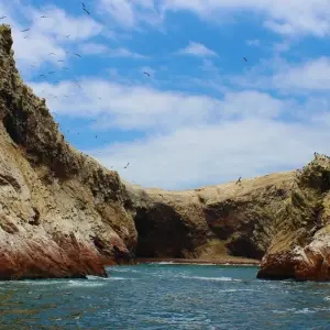 Explore CULINARY JOURNEY THROUGH THE ANDES - Delicacies of Peru and Bolivia for 18 days with EUROLATINO Tour Operators and discover unforgettable experiences - Photo 6