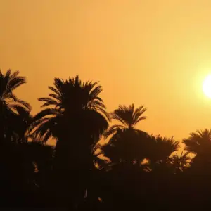 Explore SECRETS OF EGYPT for 8 days with EUROLATINO Tour Operators and discover unforgettable experiences - Photo 5