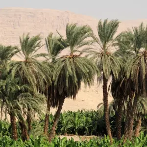 Explore NILE JUWELRIES BY TRAIN for 8 days with EUROLATINO Tour Operators and discover unforgettable experiences - Photo 7