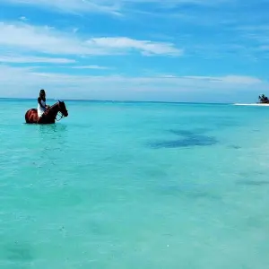 Explore Overland Adventure From Mexico To Cancún for 13 days with EUROLATINO Tour Operators and discover unforgettable experiences - Photo 5