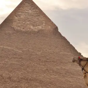 Explore SECRETS OF EGYPT for 8 days with EUROLATINO Tour Operators and discover unforgettable experiences - Photo 8