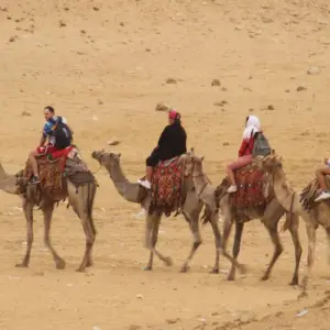 Explore SECRETS OF EGYPT for 8 days with EUROLATINO Tour Operators and discover unforgettable experiences - Photo 10