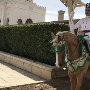 Explore Casablanca to Tangier 8 Days for 8 days with Easygo Tours and discover unforgettable experiences - Photo 2