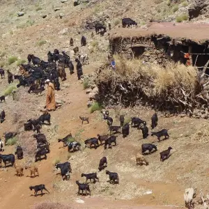 Explore Trekking in Jebel Toubkal Morocco 8 Days for 8 days with Easygo Tours and discover unforgettable experiences - Photo 4