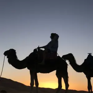 Explore Road of Thousand Kasbah 9 Days for 9 days with Easygo Tours and discover unforgettable experiences - Photo 4