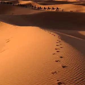 Explore Best of Morocco 8 Days for 8 days with Easygo Tours and discover unforgettable experiences - Photo 5