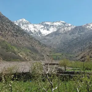Explore Trekking in Jebel Toubkal Morocco 8 Days for 8 days with Easygo Tours and discover unforgettable experiences - Photo 6